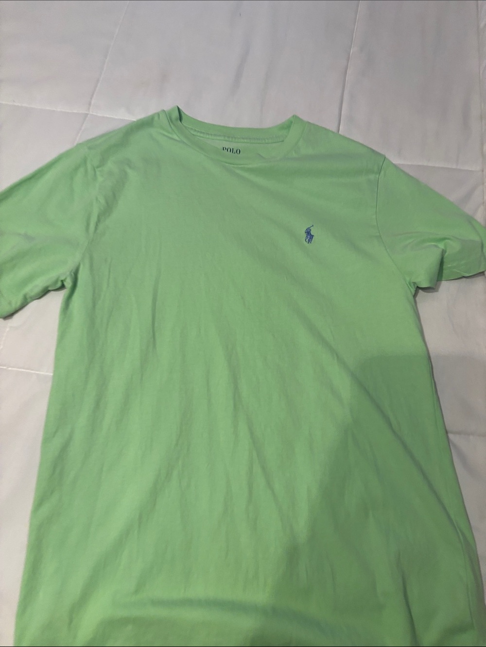 Polo by Ralph Lauren Mint Green Crewneck Tee with Blue Pony